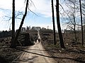 Wald u. Diedrichsburg im Hintergrund (Melle) erl. in WP eingefügt