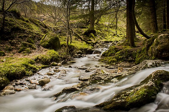 Wicklow Mountains Photograph: Diego Lopez