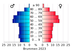 Bevolkingspiramide van de gemeente Brummen