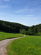 Eine schöne Aussicht zum Zwölfmorgental in die Richtung Wernigerode (1).jpg