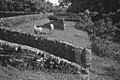 Ruinas del Fuerte Zelandia en la Isla Fort, Río Esequibo