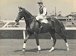 Gold Rod, 1938 & 1939 winner