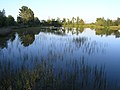 Teich im Naturpark