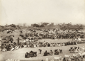 Livestock market in Katsina, 1911