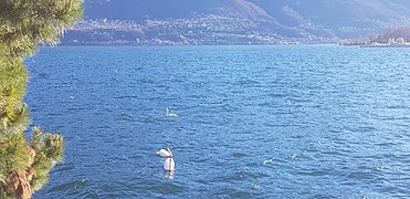 Lake Maggiore by ArmAg 1 3.jpg