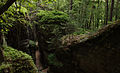 Čeština: Skalní město Bludiště poblíž Mšena-Romanova English: Sandstone rock formation "Bludiště" (Labyrinth) near Mšeno-Romanov, Central Bohemian Region, CZ This file was created as a part of the photographic program of Wikimedia Czech Republic. Project: Fotíme Česko The program supports Wikimedia Commons photographers in the Czech Republic.