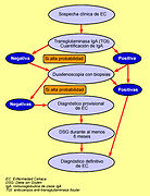 Organigrama diagnóstico EC.3.jpg