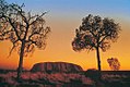 Uluru: machlud haul.