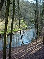 El Bille, que forma el límite norte del Sachsenwald, cerca de Witzhave