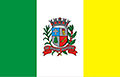 Bandeira de São Manuel