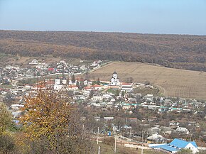 Vedere panoramică, mănăstirea în prim-plan.