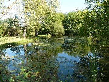 La Pude près du moulin Cacaud.