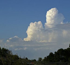 雄大雲