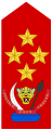 Général d'armée (Land Forces of the DR Congo)