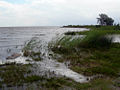 Shoreline at Mustvee.