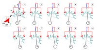 Strasserhemmung (Prinzip) H Hemmelement; HR Hemmungsrad; P Pendel; A Anker; F Antriebsfeder; HF Hebefläche; RF Ruhefläche; D Drehachse von P, F, A; B Eingriff Anker-Feder