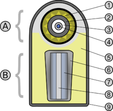 Teller-ulam-multilang.png