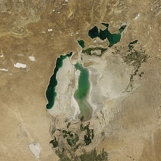 鹹海太空照圖，東部盆地為大量融雪淹沒（2010年8月）