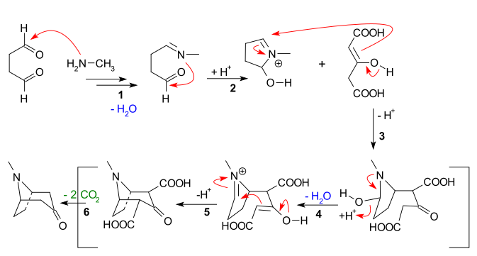 Síntesis de tropinona