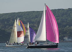 Yachts flying spinnakers during the 2010 race