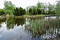 Vijver bezoekerscentrum Dwingelderveld