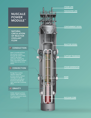 A diagram of a NuScale small modular reactor (SMR).