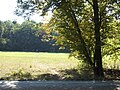 Blick nach Süden auf die Rechte Wiese der Schwanheimer Wiesen