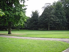 pelouses entourées d'arbres