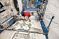 Robert Thirsk performs an insertion of urine samples into the Minus Eighty Degree Laboratory Freezer for ISS (MELFI)