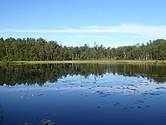 Katjarn Vastergotland Sweden from E Aug1 2020.jpg