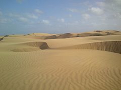 Desierto Médanos de Coro, Falcón