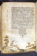 Folio 229 verso