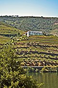 Quinta São Luiz - Vale do Rio Douro - Portugal (3885966117).jpg