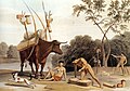 Image 10 Khoikhoi Artist: Samuel Daniell An 1805 depiction of a Khoikhoi family dismantling their huts, preparing to move to new pastures. The Khoikhoi are a native people of southwestern Africa, closely related to the Bushmen. Most of the Khoikhoi have largely disappeared as a group, except for the largest group, the Namas. More featured pictures