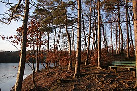 Abendstimmung an der Steinbachtalsperre