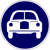 Passenger cars only