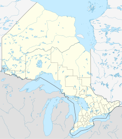 Niagara Falls ubicada en Ontario