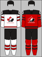 2017–present (with modifications) IIHF jerseys