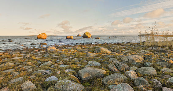Pärispea Peninsula, Lahemaa National Park. The are glacial boulders in the picture are commonly found in the northern coast of Estonia.
