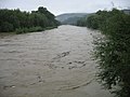 Река при великом водостају