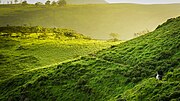 Miniatura para Reserva nacional de Lachay