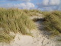 Nordsee, Dünen