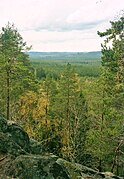 Blick über den Nationalpark Norra Kvill