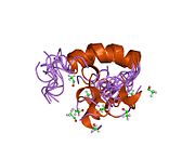 1zwf​: Kristalna struktura N-terminalno acetilisanog ljudskog paratiroidnog hormona, NMR, 10 struktura