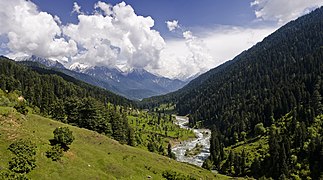 Vallée de Pahalgam, Cachemire.