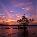 Sunset over the St. Lawrence River, shot on 6x6 cm Velvia 50