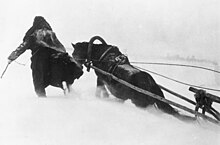 Deutscher Soldat mit Pferdeschlitten in hohem Schnee vor Moskau 1941