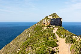 Cape Point, Sudáfrica, 2018-07-23, DD 105.jpg