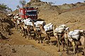 Transport de marchandises en Éthiopie.
