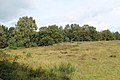 In het natuurgebied Eispohl, Sandwehen und Heideweiher